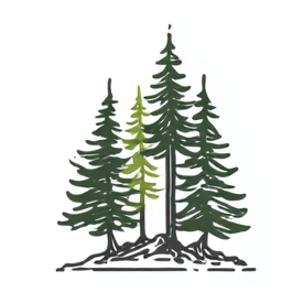 BaumZeit-Paket – 20 Bäume pflanzen für Klima & Familie