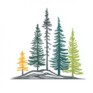 ZusammenWachsen-Paket – 50 Bäume pflanzen für Klima & Gemeinschaft